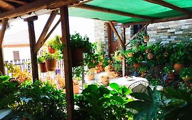 Ξενώνας Κατερίνα Guest House